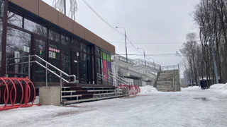 В Рязанской области определили лидеров по сдаче норм ГТО