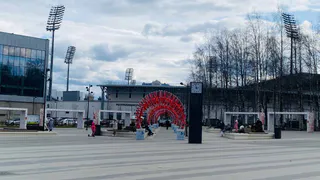 В Сыктывкаре открыли уникальную уличную экспозицию