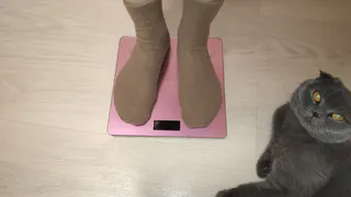 В Коми 60 процентов жителей имеют избыток веса