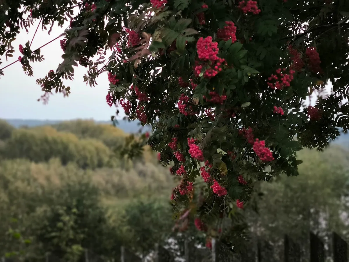 От зноя до ливней: погодные перемены в Челябинской Области