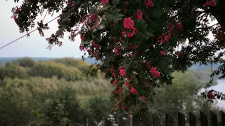 От зноя до ливней: погодные перемены в Челябинской Области