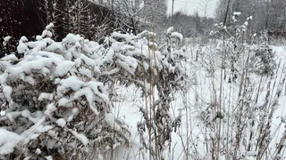 Холодный фронт вернется в Магнитогорск: прогноз погоды в Челябинской области на 3 января 