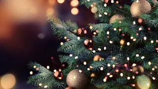 В Пензенской области организуют новогодние елки для детей участников специальной военной операции