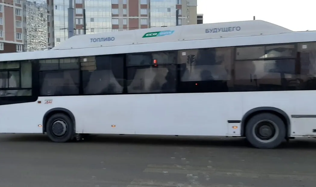Автоинспекторы Нижнекамска проверили 80 автобусов