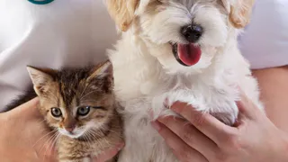 В России могут ввести неожиданный налоговый вычет