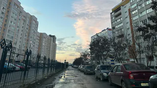 Пензенцы призывают местные власти начать готовиться к паводку уже сейчас