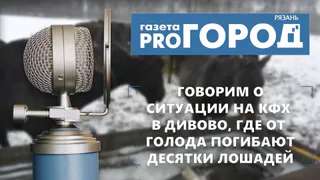 Подкаст от Pro Город Рязань №3 - Говорим о ситуации в Дивово, где от голода погибают десятки лошадей