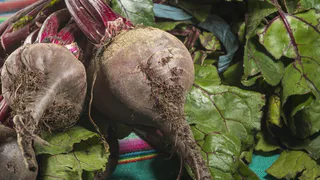 Свекла будет сочная и крепкая: уже названы даты для сбора урожая по лунному календарю в 2024 году