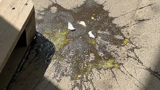 Дети закидывали прохожих яйцами из МКД на Первомайском проспекте