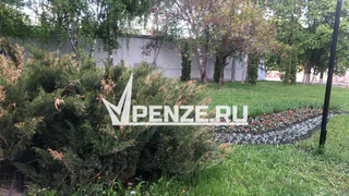 В 2025 году в Пензе благоустроят свыше 150 общественных территорий