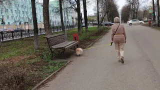 Пенсионерам рассказали, когда пенсию и социальные выплаты придется вернуть