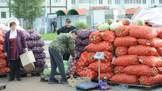 В Нижнекамске начинается пора осенних ярмарок