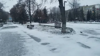 Какой будет погода в России в декабре 2025 года