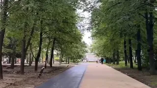 На бульваре Иванова во Владимире появится детская площадка и памятник художнику