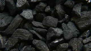 Эффективное применение древесного угля на даче: секреты и советы