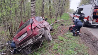 В Собинском районе легковушка врезалась в дерево, водителя зажало внутри
