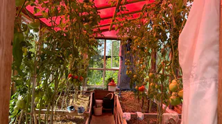 С 1 мая запрещается использование теплиц: приняли решение для всех россиян, у кого есть дача или участок - новые штрафы