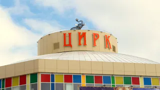 Рязанский цирк перенес гастроли, театры готовятся к убыткам