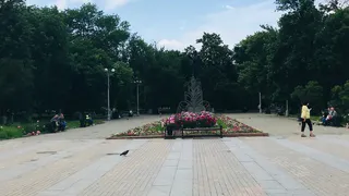 Клещи разбегаются в ужасе от такого запаха на одежде: стоит 50 рублей - лучше магазинного аэрозоля