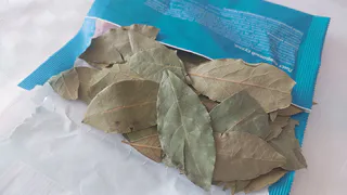 Кому аромат, а кому - угроза: в Роскачестве объяснили, кому нельзя эту класть в пищу лавровый лист