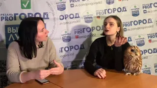 LIVE: в гостях у PRO Города сова!