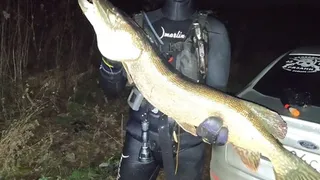 Рыба весом в 10 кг: ночью на Оке рязанец поймал щуку длиной в 1 метр