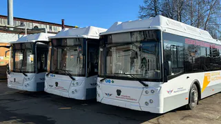 Жители Рязани массово жалуются на нехватку транспорта до кладбища в Радоницу