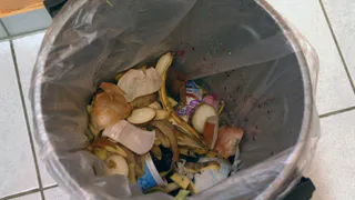 Перед уходом из дома обязательно насыпьте в мусорное ведро 2 ложки соды: эффект ошеломит