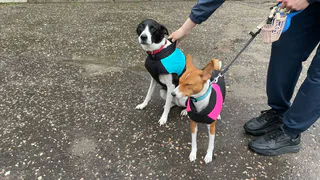 Синоптики пообещали россиянам сложное завершение лета: что нас ждет в августе?