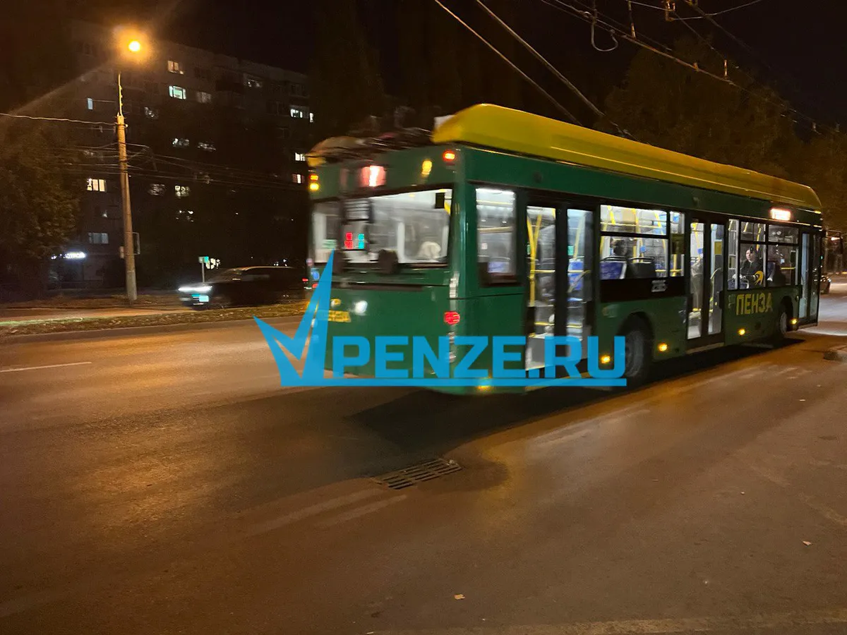 В Пензе кондуктор 7-го троллейбуса нахамил инвалиду-колясочнику в ответ на просьбу поднять пандус