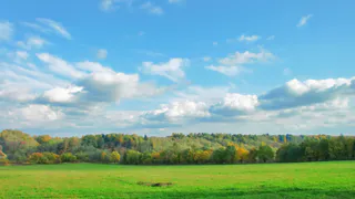 Новая неделя в Рязани начнется с солнца