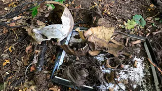 Личность человека, останки которого нашли возле спортивного комплекса «Батыр» в Нижнекамске, установлена