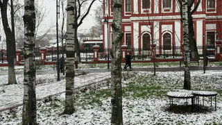 Это никогда нельзя прощать в отношениях: мудрые слова Шопенгауэра - запомните их раз и на всю жизнь