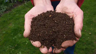 Опытный агроном раскрыл секрет: чем поливать компостную кучу в августе, чтобы весной получить готовое идеальное удобрение