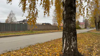 «Октябрь будет как страшный сон». Синоптики озвучили, что ждать в середине осени