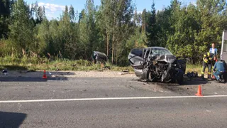 За неделю на дорогах Владимирской области произошло 44 ДТП и погибли 2 человека