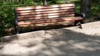 "Парк имени Гагарина позорит облик города": рязанцы пожаловались на благоустройство парковой территории