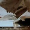 Александр Бастрыкин взял на контроль дело о рушащемся потолке дома в Вязниках