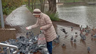 7 российский городов, где на пенсии живут припеваючи - чистейший воздух, природа, медицина и низкие цены