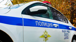 Как будет работать ГИБДД в новогодние праздники в Рязани