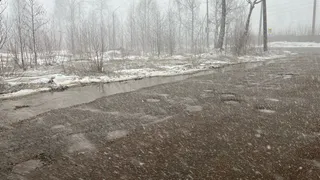 От снежных вьюг до ясного солнца: погода в Коми 13 апреля