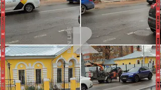 Рязанцы пожаловались на спиленные липы на улице Свободы