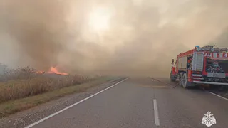В Рязанской области причиной крупных природных пожаров стал обрыв проводов