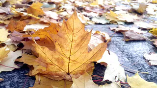 В ноябре произойдут изменения, о которых должен знать каждый рязанец