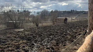 В Пензенской области утвердили готовность к посевной кампании