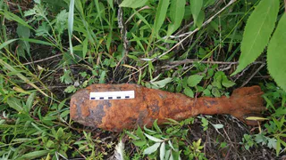 В Пензе был найден артиллерийский снаряд на территории кладбища