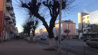 Сильные заморозки: ночь на среду в Рязанской области похолодает до -19 градусов