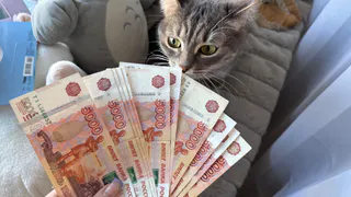 Жители Рязани могут получить кешбэк за оплату ЖКУ