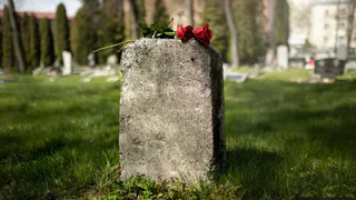 В Петушинском районе выявлены нарушения при эксплуатации кладбищ