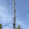 Киржаче на ул. Горького перебои в дорожном освещении